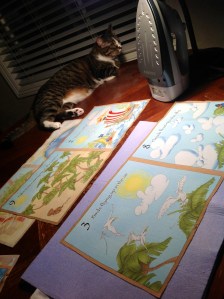 Raymond was beyond excited to supervise my ironing 