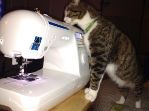 Ray approving my new Babylock Grace sewing machine