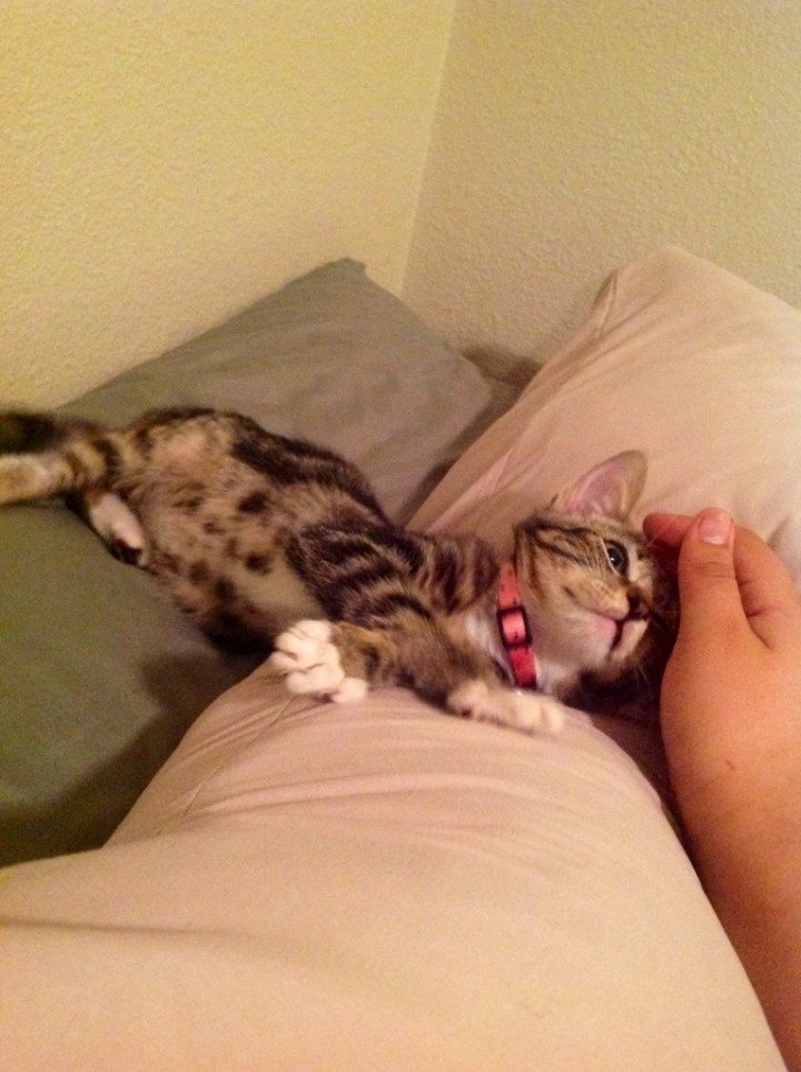 20130909-001153.jpg