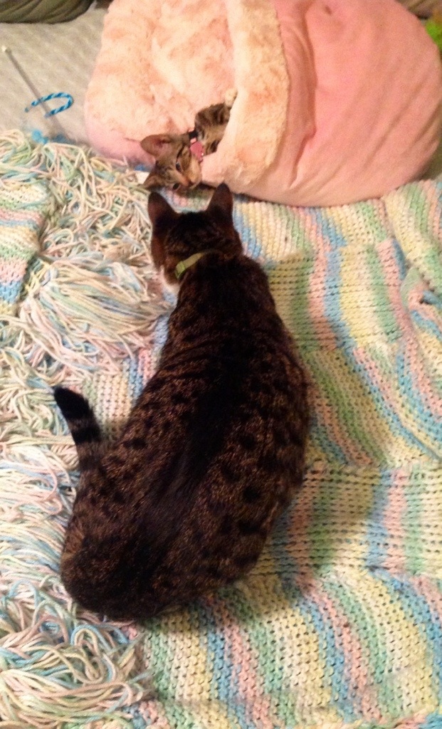 20130909-001226.jpg
