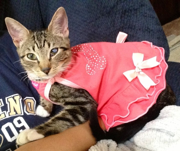 20130909-003044.jpg