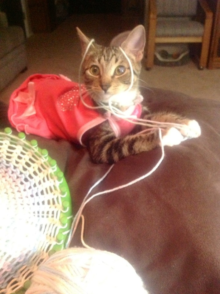 20130909-003050.jpg