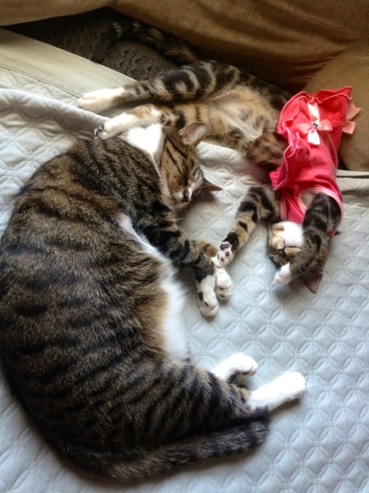 20130909-003150.jpg