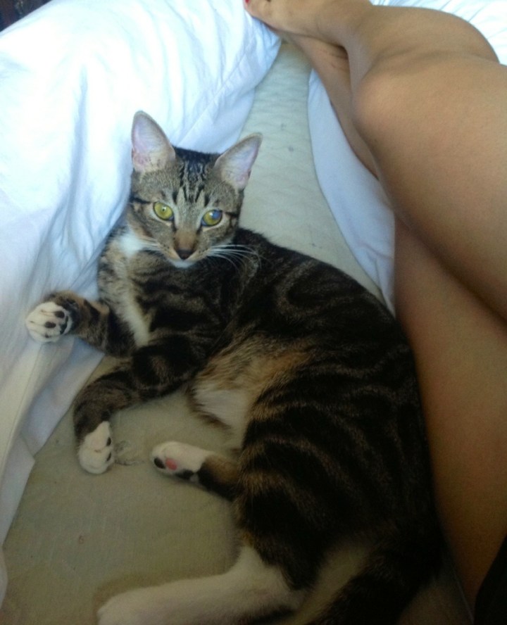 20130909-004224.jpg